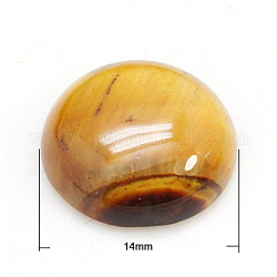 Halbrund / Kuppel Edelstein Cabochons, natürlichen Tigerauge, 14x6 mm (Durchmesser wird 0.5mm ±)
