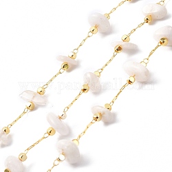 Perlenketten aus natürlichen weißen Mondsteinsplittern, mit goldenen Messing Zubehör, langlebig plattiert, gelötet, mit Spule, 4~14x4~11x2~7 mm, ca. 3.28 Fuß (1m)/Box