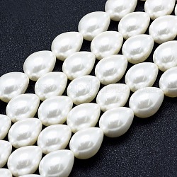 Chapelets de perles en coquille électrolytique, larme, blanc, 15.5~16x12mm, Trou: 1mm, Environ 26 pcs/chapelet, 15.7 pouce (40 cm)