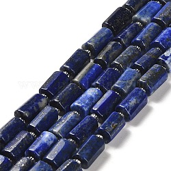 Chapelets de perles en lapis-lazuli naturel, avec des perles de rocaille, facette, colonne, 8.5~11x5.5~6.5mm, Trou: 1mm, Environ 14~15 pcs/chapelet, 7.48'' (19cm) 0