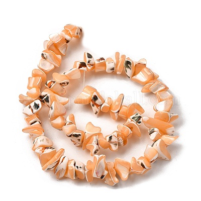 Нити бусин из натуральных трохоидных/трохус ракушек SHEL-B003-02B-1