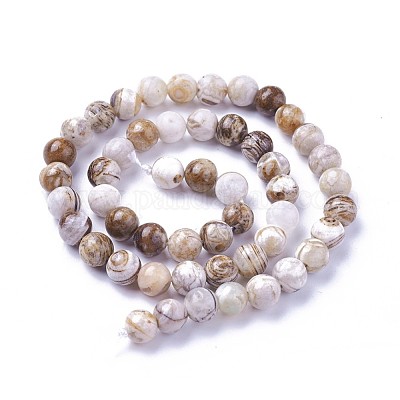 Натуральная америка окаменелая древесина бус пряди G-P430-08-C-1