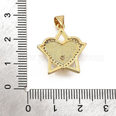 Подвески из латунной микро-паве из кубических цирконий в виде черных ракушек KK-D328-23G-1