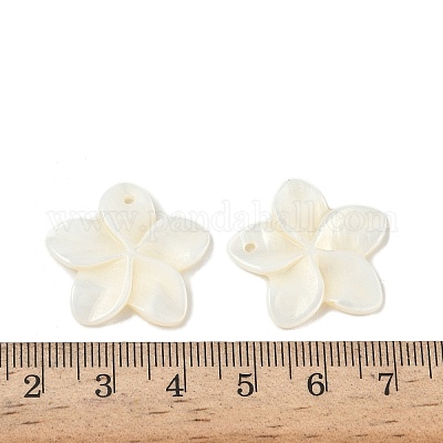 Резные подвески из натуральных пресноводных ракушек SHEL-K006-59-1