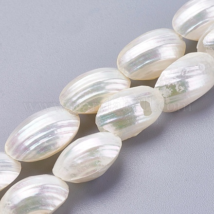 Chapelets de perles de coquille de mer BSHE-K012-02-1
