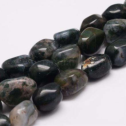 Chapelets de perles en agate mousse naturelle G-K153-D17-1