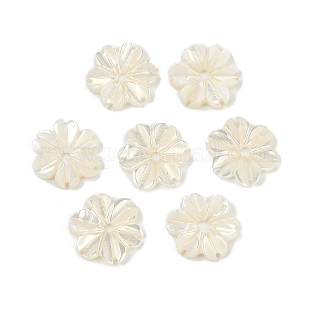 Натуральные трохус ракушки цветочные подвески SHEL-K006-46B-1