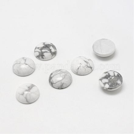Cabochons de pierre gemme en howlite naturelle G-T020-6mm-01-1