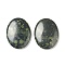 Natural Kambaba Jasper Worry Stone for Anxiety Therapy, Oval Thumb Stone, 45x34~35x7~8.5mm