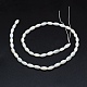 Brins de perles de coquillage naturel teint BSHE-E023-02A-2