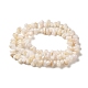 Brins de perles d'eau douce naturelles SHEL-K006-36-2