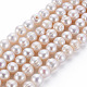 Natural Keshi Pearl Beads Strands PEAR-S020-F09-2
