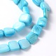 Natural Shell Beads Strands X-PBB075Y-3