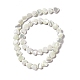 Fili di perle di conchiglia trochid naturale / trochus SHEL-F003-08A-4