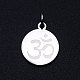 Chakra 201 Stainless Steel Charms STAS-T049-T680-1-1