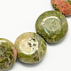 Natural Unakite Stone Beads Strands G-S110-07-1