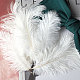 ダチョウの羽飾りアクセサリー  diyの写真の小道具  背景クラフト  ホワイト  150~200mm FEAT-PW0001-005A-1