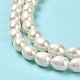 Natural Cultured Freshwater Pearl Beads Strands PEAR-E016-171-4