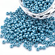 8/0 Czech Opaque Glass Seed Beads SEED-N004-003A-16-1