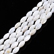 Eau douce naturelle de coquillage perles brins SHEL-N026-212-3