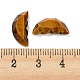Cabochons d'ailes de papillon en pierres précieuses naturelles mélangées G-D078-02-4
