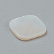 Perles de coquillages naturels d'eau douce BSHE-I011-09-3