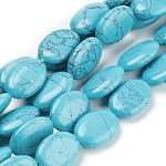 Perles plat ovale pierres précieuses turquoise synthétique de pierre brins, turquoise, 18x13x6mm, Trou: 2mm, Environ 22 pcs/chapelet, 15.7 pouce