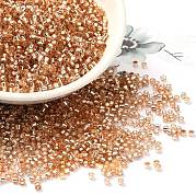 Бисер из стекла  SEED-S042-04B-17
