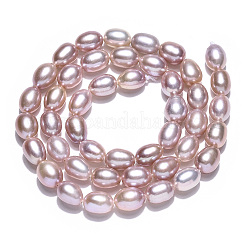 Нити из натурального культивированного пресноводного жемчуга PEAR-N012-06W