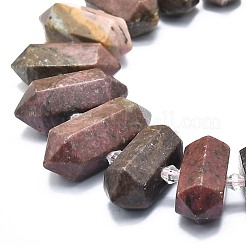 Perline Rhodonite naturale fili&nbsp;G-F715-046