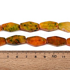 天然マルチカラー瑪瑙ビーズ連売り  六角  染め＆加熱  ダークオレンジ  20~23x10~13x5~9mm  穴：1~1.5mm  約18個/連  14.96~15.75インチ（38~40cm）&nbsp;G-Q606-73