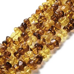 Янтарные шарики нити G-L095-L01-04