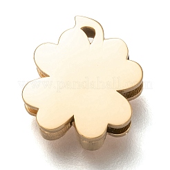 Charms scorrevoli in acciaio inossidabile 304&nbsp;STAS-P270-04G-02