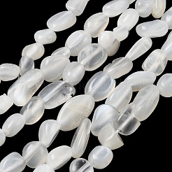 Натуральный белый лунный камень бисер пряди G-P601-A18-02