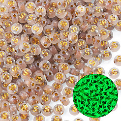 50g leuchtende transparente Acrylperlen&nbsp;OACR-TAD0001-01S