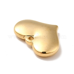 Ионное покрытие (ip) подвески из нержавеющей стали 304&nbsp;STAS-E176-01G