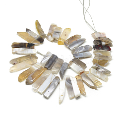 Природные Ботсвана агат бисер нитей G-R419-20