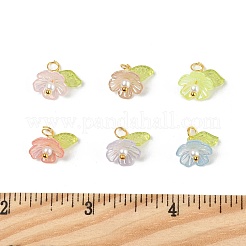 100шт акриловые подвески&nbsp;PALLOY-JF03828