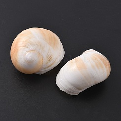 Natürlichen Muschelperlen&nbsp;BSHE-WH0004-08