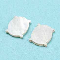 Cabochoni naturali di shell marini&nbsp;SHEL-D079-08