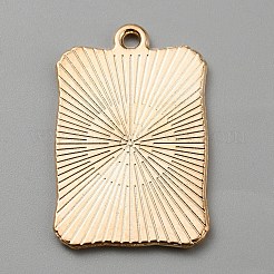 Emaille Anhänger Legierung&nbsp;ENAM-WH0064-24B