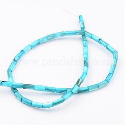 Природные оболочки нитей бисера BSHE-P016-06