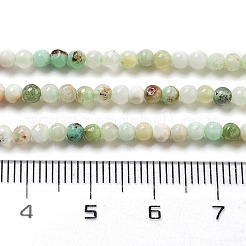 Natur Serpentin Perlen Stränge&nbsp;LS-G-G161-D24-01