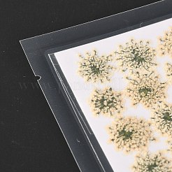 Прессованные сушеные цветы DIY-K032-58N