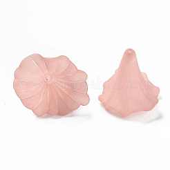 Прозрачные акриловые бусины&nbsp;BSF796-C11