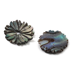 Резные бусины из натуральной ракушки пауа SSHEL-Z002-04