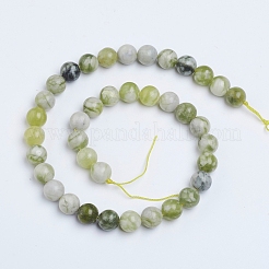 Hebras naturales de cuentas de jade qinghua&nbsp;G-G818-01-10mm