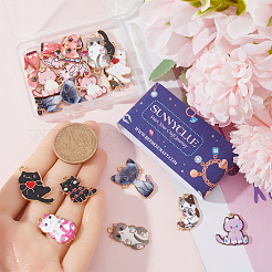 24шт 12 стиля подвески из сплава с эмалью&nbsp;ENAM-SC0005-36