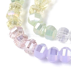 Perles de verre de styles variés&nbsp;EGLA-N022-14A-A02
