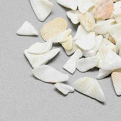 Бусины из натуральных морских раковин&nbsp;SSHEL-R036-016